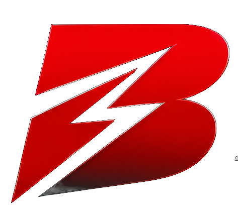 Blitzdev IT Solutions Inc. logo